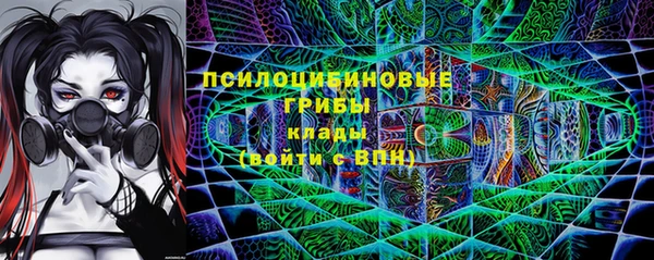 винт Переславль-Залесский
