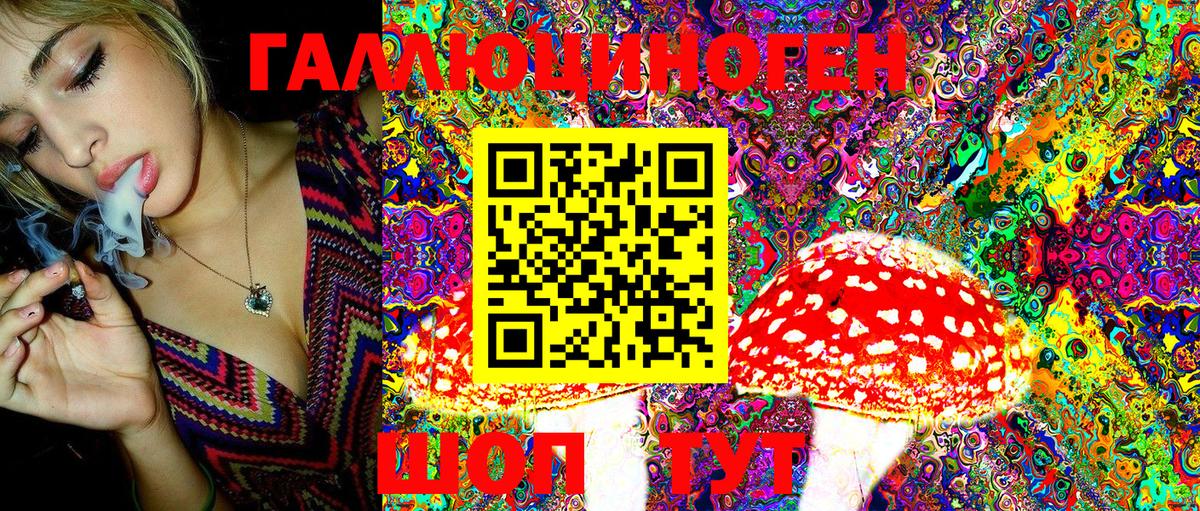 Галлюциногенные грибы Cubensis Сертолово