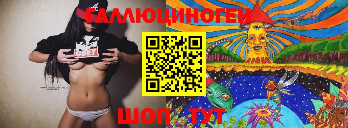 Сертолово  Псилоцибиновые грибы Psilocybine cubensis  Вход с VPN 
